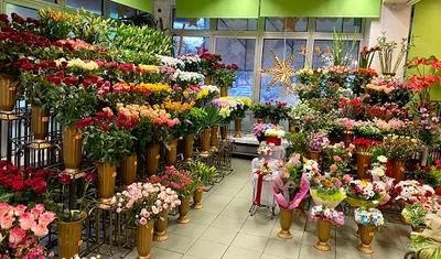 Salon Kwiatowy ul. 11 listopada 5a